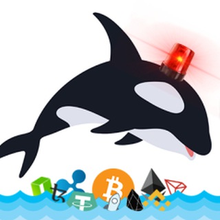 Whale Alert channel avatar