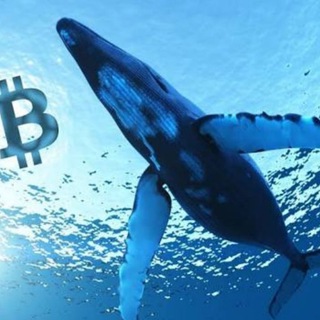 Whales Crypto Guide channel avatar
