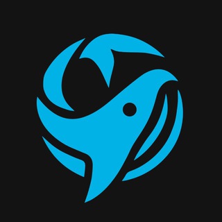 Что говорят киты? channel avatar