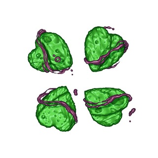 4ch channel avatar
