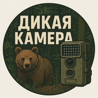 Аватар канала Дикая Камера: природа, животные, птицы, видео, wildlife, nature