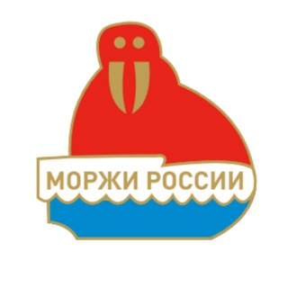 ЗИМНЕЕ ПЛАВАНИЕ РОССИИ channel avatar