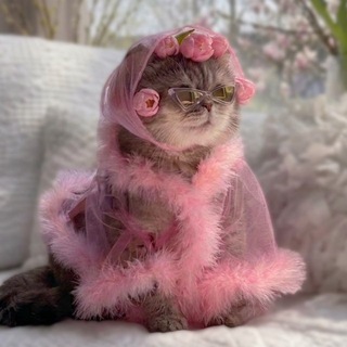 Бьюти Блажь channel avatar