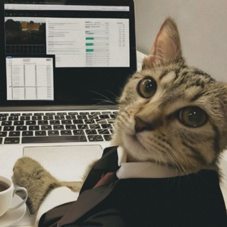 tutor Iryna | English | miro | canva channel avatar