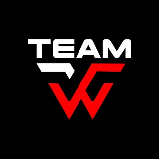 WW TEAM channel avatar
