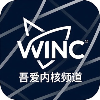 吾爱公益内核主频道(三角洲/和平精英/王者荣耀) channel avatar