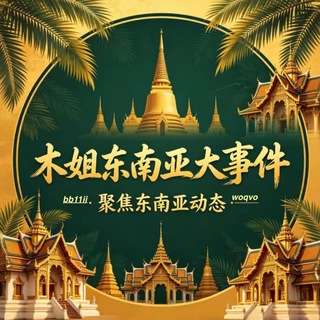 木姐东南亚大事件 channel avatar