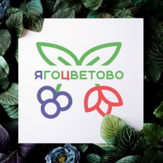 Аватар канала Ягоцветово Тюмень