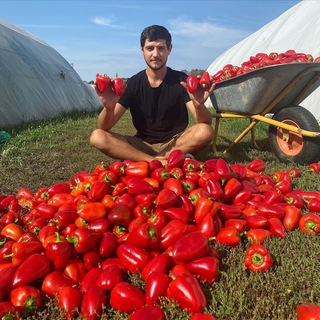 Аватар канала Яков Огородник