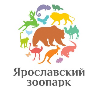 Аватар канала Ярославский зоопарк