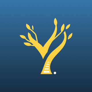 Python Backend | YeaHub channel avatar