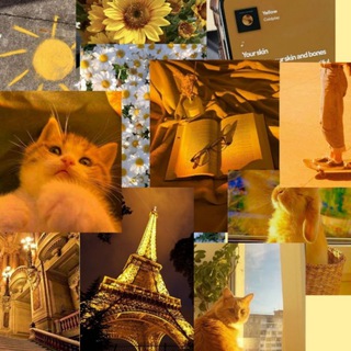 Аватар канала Your comfort English