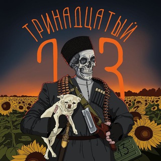 Тринадцатый. channel avatar