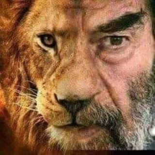زينو ياسر محاميد channel avatar