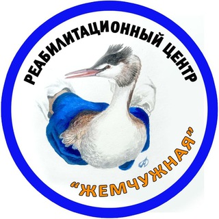 Жемчужная Реабилитационный центр Официальный канал channel avatar