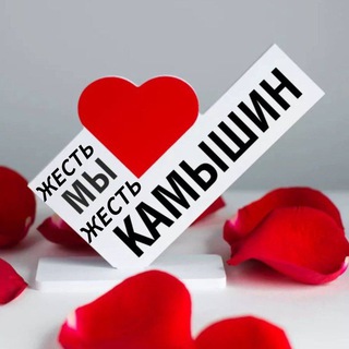 Аватар канала Жесть. Камышин