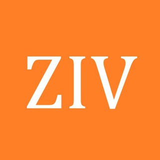 ZIVPN (SSH/DNS/UDP) Tunnel Group channel avatar