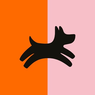 Четыре Лапы channel avatar
