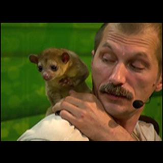 Аватар канала Zoocom Club