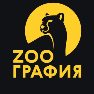 Аватар канала ZOOграфия