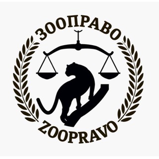 ЗООПРАВО channel avatar