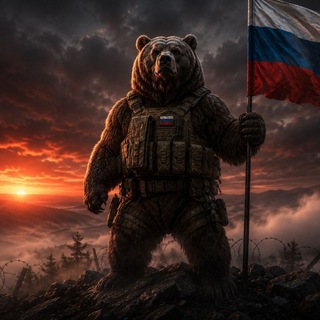 ZOV МЕДВЕДЯ channel avatar