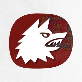 Злые Волки 2.0 channel avatar